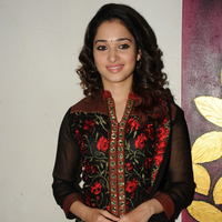Tamanna at Badrinath 50days Function pictures | Picture 51601